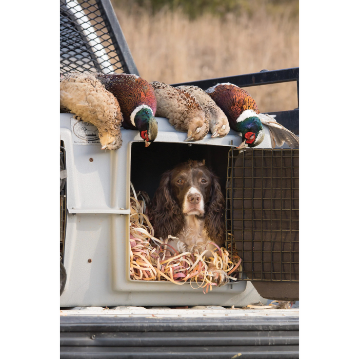 Red Cedar Ribbon Bedding - Red Cedar Dog Bedding 12 x 12 x 14 Box