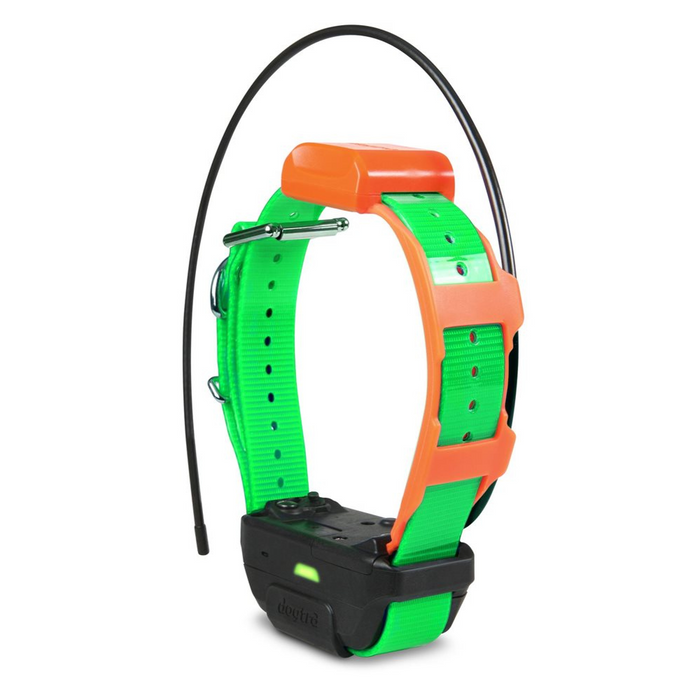 Dogtra Pathfinder Tracking Only TRX Collar - Green