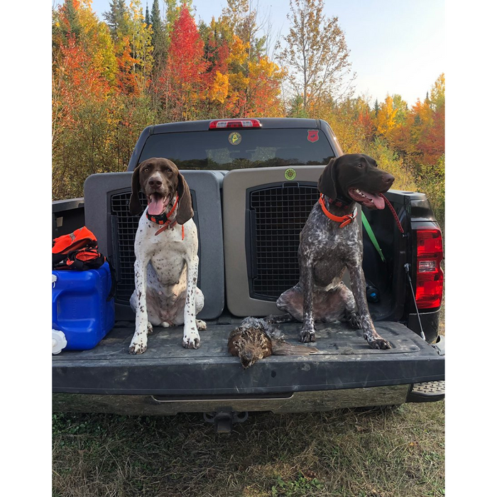 Dakota 283 G3 Large Framed Kennel