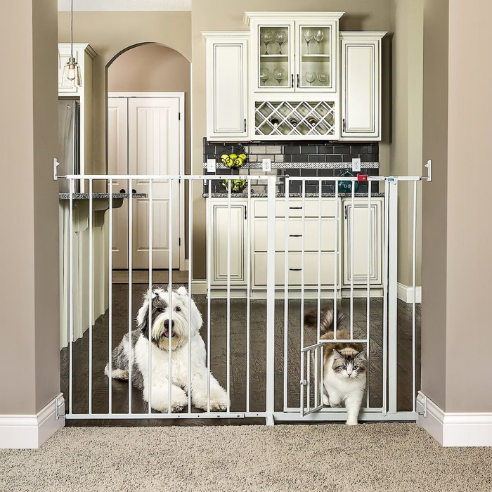 Carlson Extra Tall Maxi Walk-Thru Gate with Pet Door