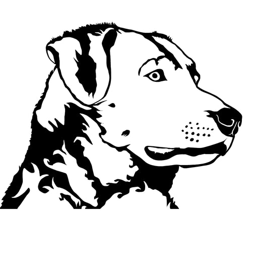 Detailed Chessie Head Decal