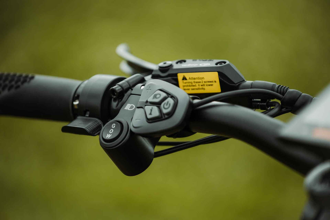 Rambo Rebel 2.0 Electric Hunting Bike