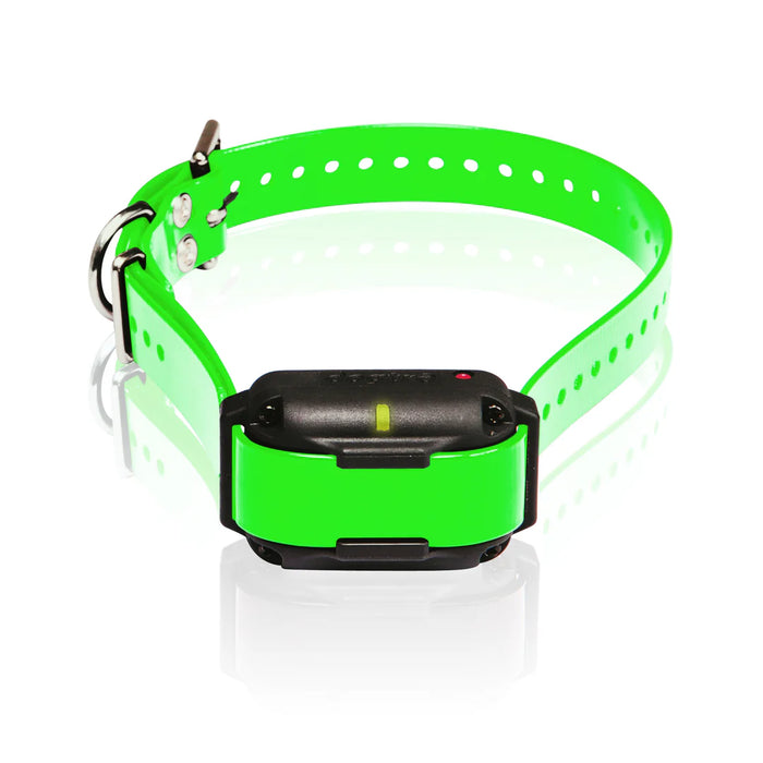 Dogtra Extra Collar/Receiver for Edge RT - Green