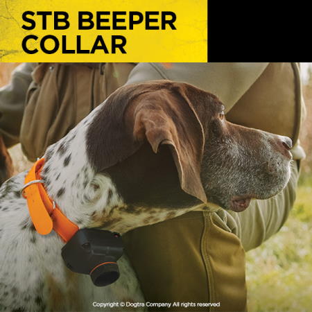 Dogtra STB Beeper Collar - Hawk Version