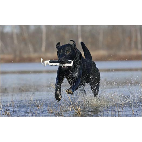 Avery HexaBumper Large Orange Retriever Dog Training Bumper