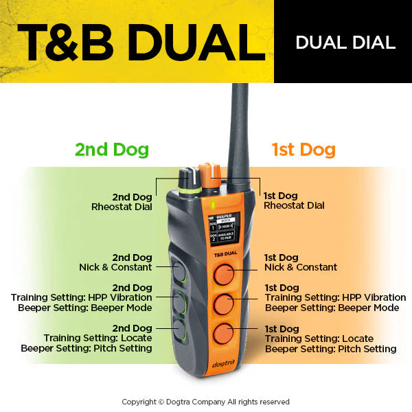 Dogtra Dual Dial Train & Beep 2-Dog