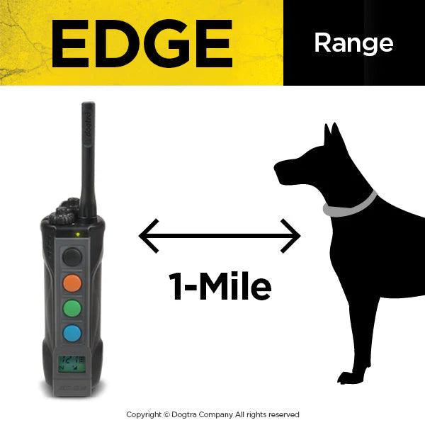 Dogtra Edge