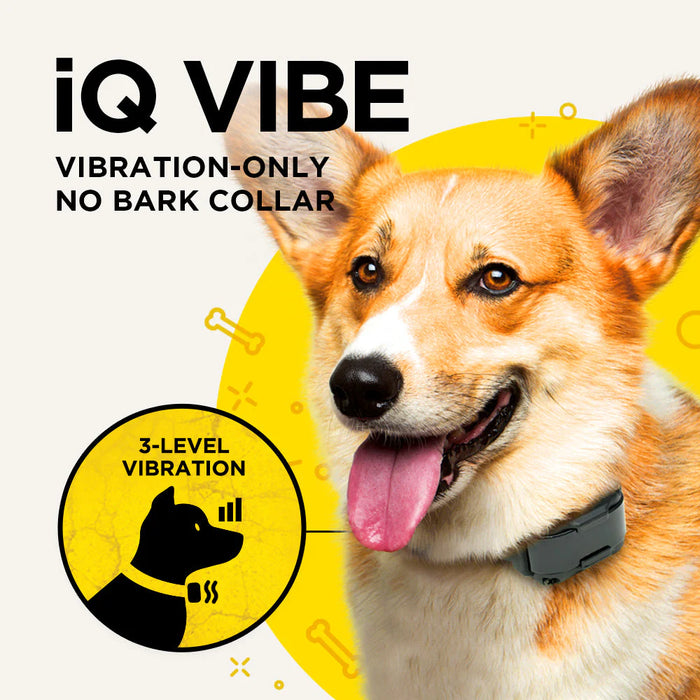 Dogtra IQ Vibe Vibration-only No-Bark Collar