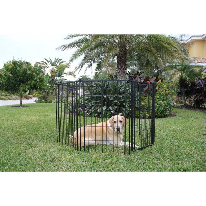 Carlson Extra Tall Super Gate / Yard