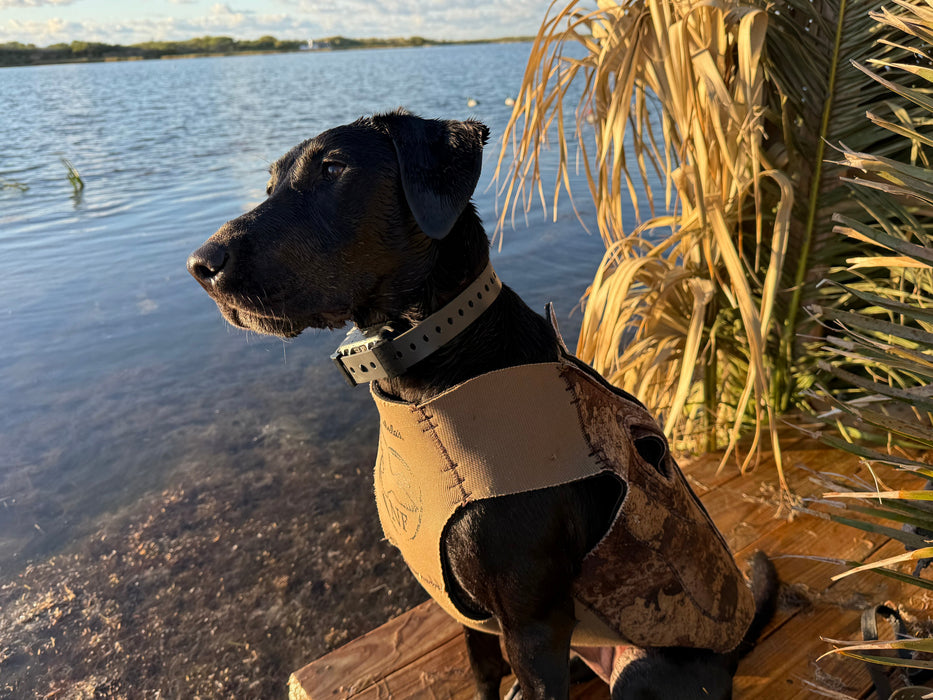 Hoss Straps Training Collar Setup
