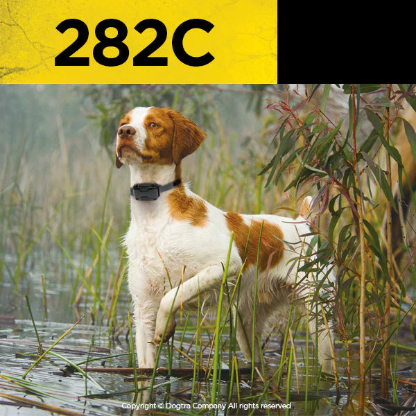 Dogtra 282C 2-Dog