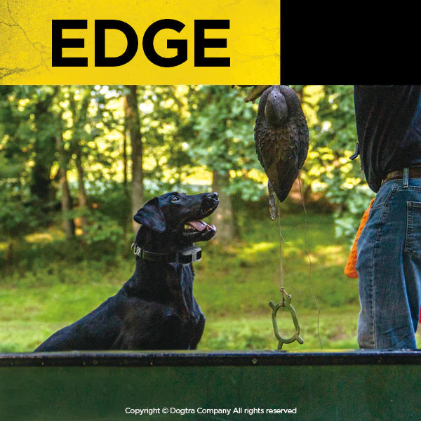 Dogtra Edge