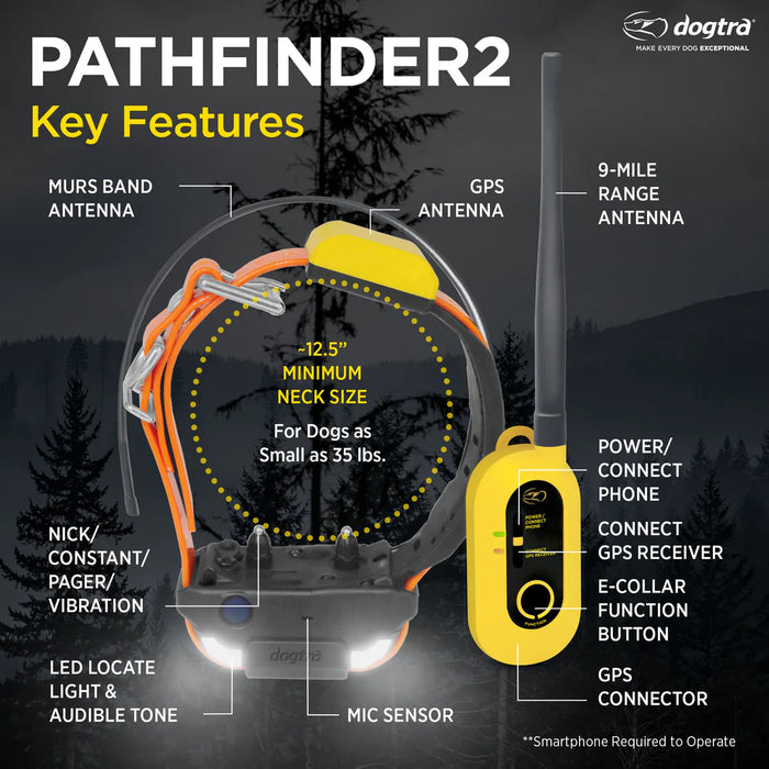 Dogtra Tracking and Training in one system!