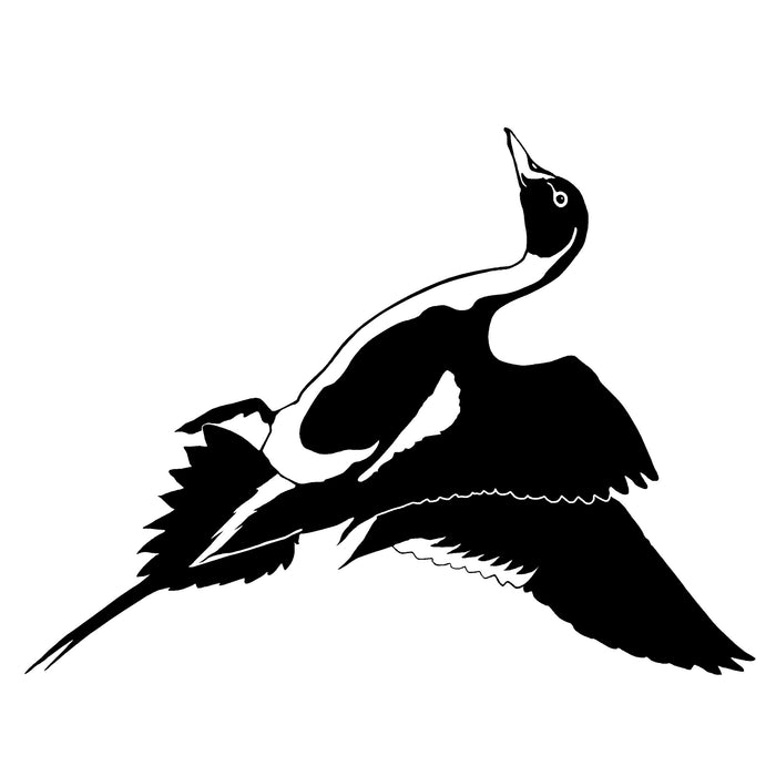 Pintail Drake Decal