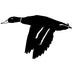 Mallard in Flight Decal