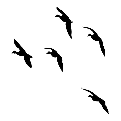 Ducks Coming Around Decal