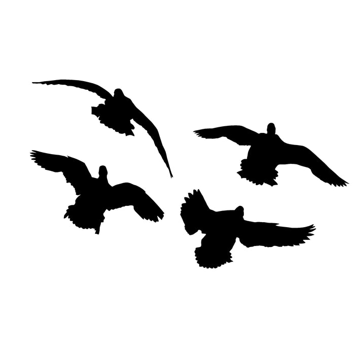 4 Ducks Flying In Decal