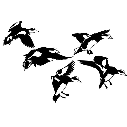 5 Detailed Widgeon Lightin' the Spread Decal