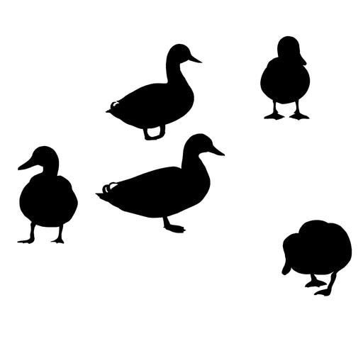 6 Mallards Standing Around Decal