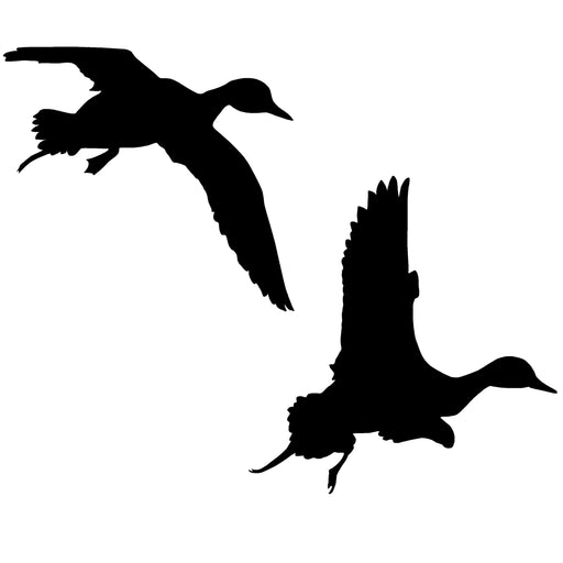 Pair of Bulls, Pintails Decal