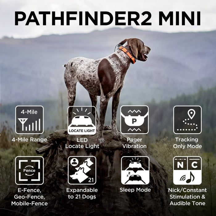 Dogtra Pathfinder 2 Mini System