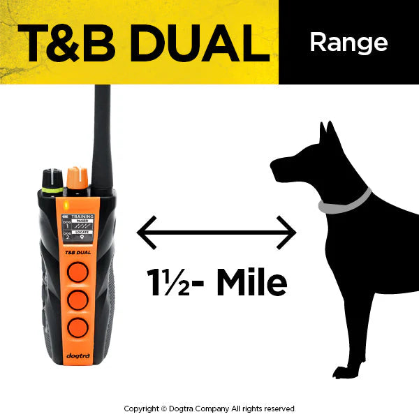 Dogtra Dual Dial Train & Beep 2-Dog