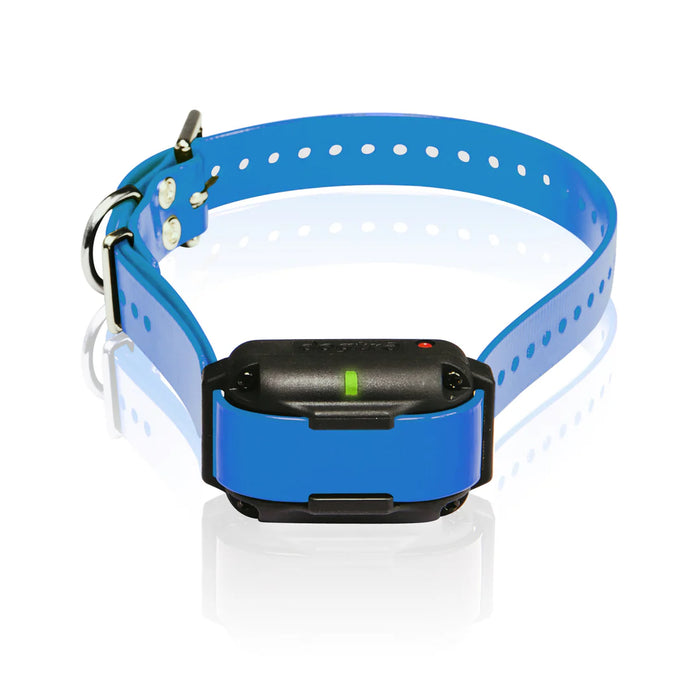 Dogtra Extra Collar/Receiver for Edge RT - Blue