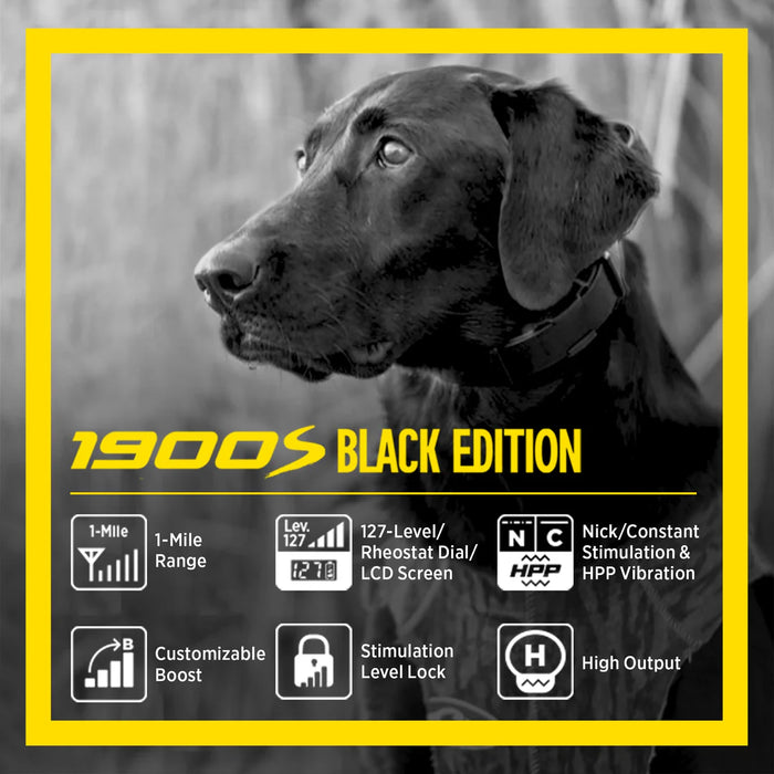 Dogtra 1900S Black Edition with Boost & Lock