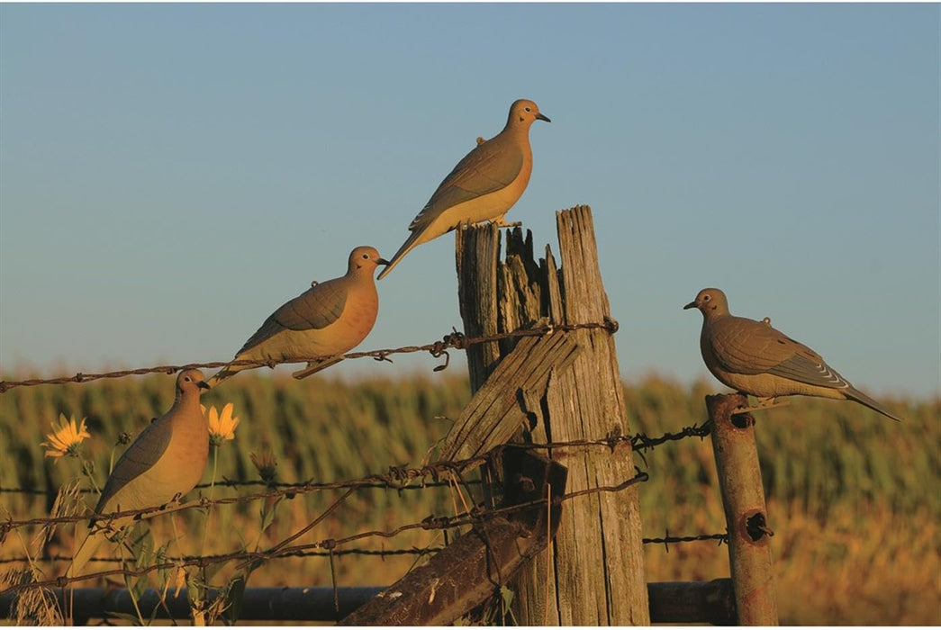 Avery GHG Mourning Dove Decoys - 6 Pack