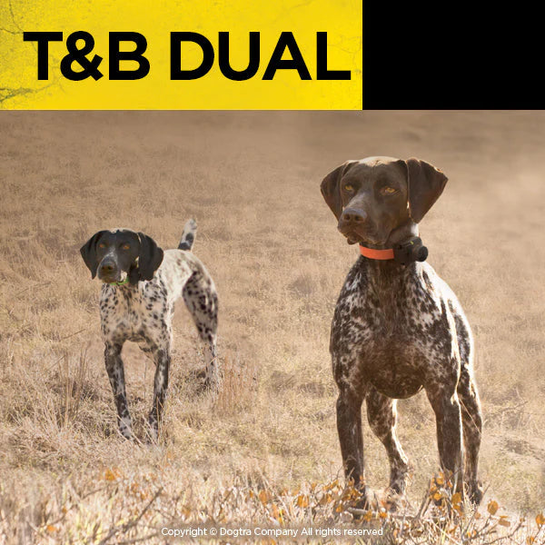 Dogtra Dual Dial Train & Beep 2-Dog