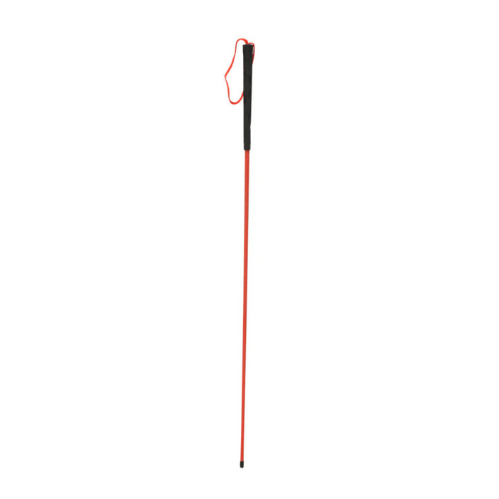 Avery Trainer's Heeling Stick