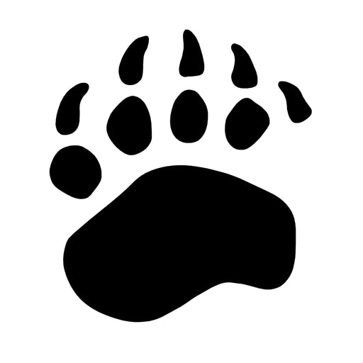 Brown Bear Track Decal