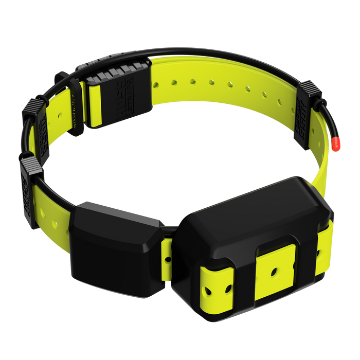 Tracking Collar 1" Replacement Strap Kit