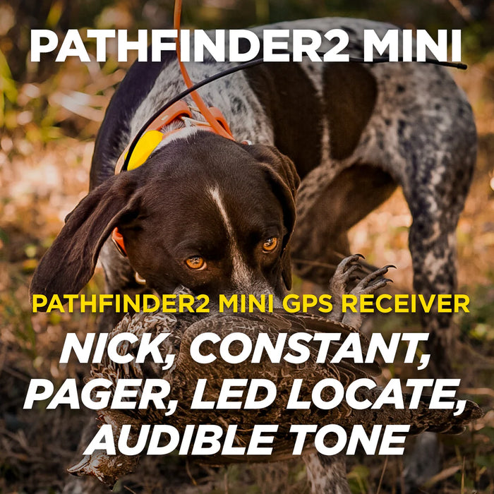 Dogtra Pathfinder 2 Mini System