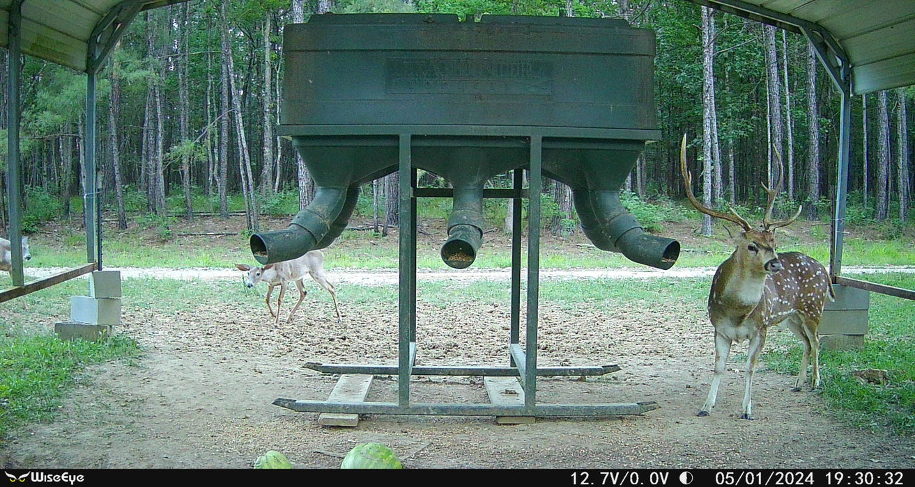 WiseEye Mini Cam 2 (MC-2) - Trail Camera