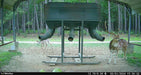 WiseEye Mini Cam 2 (MC-2) - Trail Camera