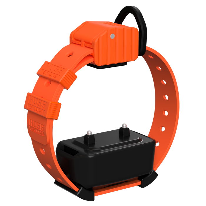 Pro Series Training Collar Setup