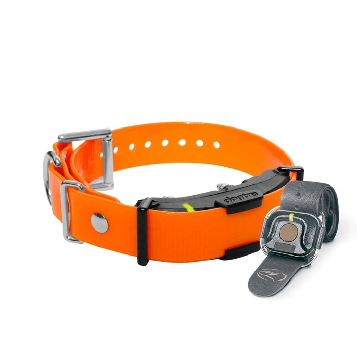 Dogtra Extra Collar for ARC Handsfree