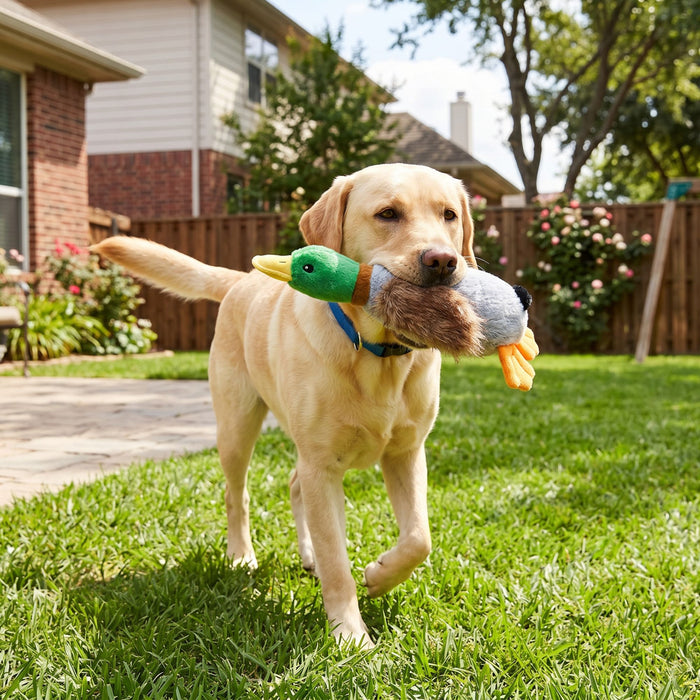 Mallard Duck Dog Toy: Durable Squeaky Dog Toy