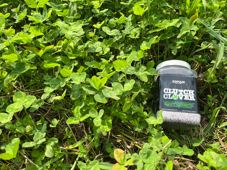 Clutch Clover™ Food Plot Seed