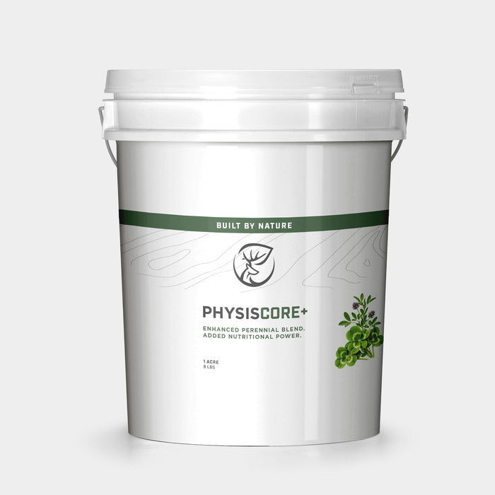 Physis - CORE PLUS