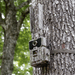 WiseEye Data Cam 2 (DC-2) Trail Camera