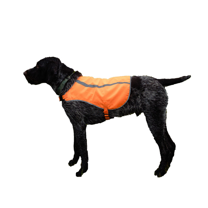 Orange Aglow Dog Safety Vest | Blaze Orange Reflective Dog Vest