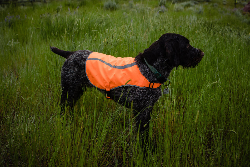 Orange Aglow Dog Safety Vest | Blaze Orange Reflective Dog Vest