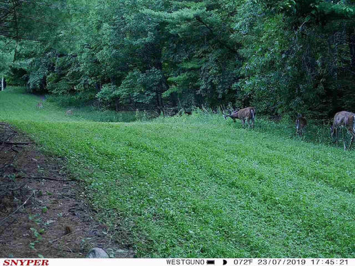 Deer are loving Fence Jumper