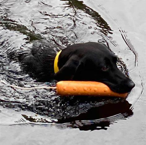 Dokken Super Dummy Foam Training Dummies 6-Pack - Foam Retriever Dog Training Bumper