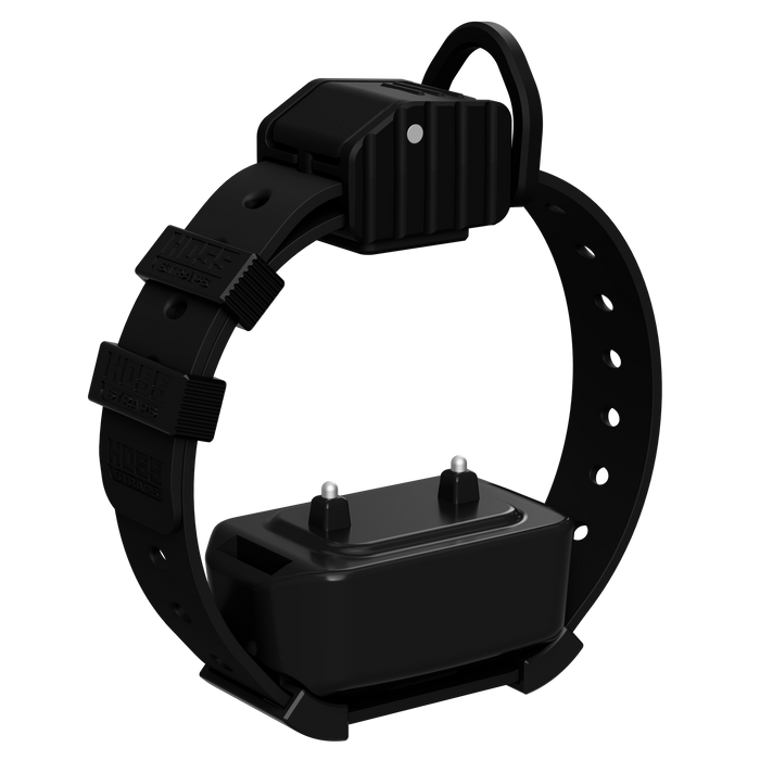 Pro Series Training Collar Setup