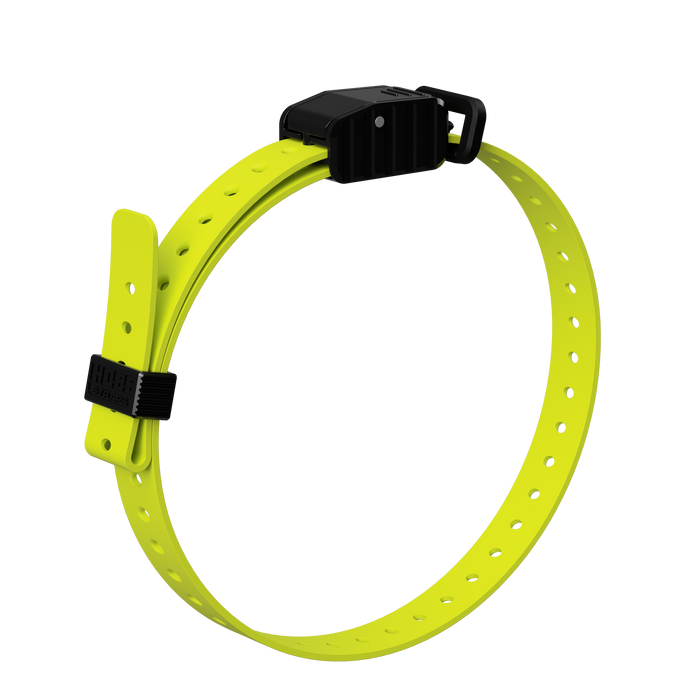 3/4" Replacement E-Collar Strap