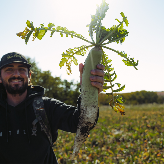 Radish+ - Rolling Hills Supply