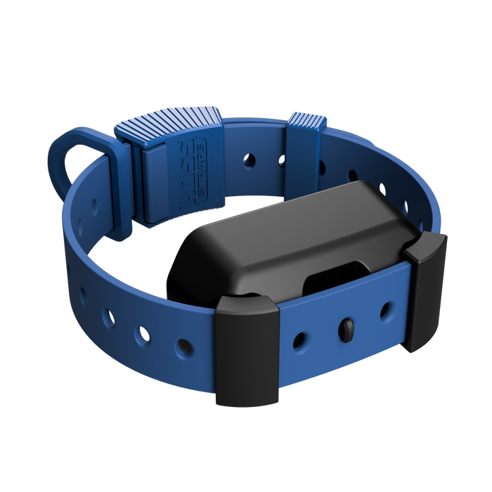Hoss Straps Training Collar Setup